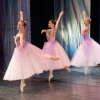 Schiaccianoci Rovigo - Balletto di Mosca